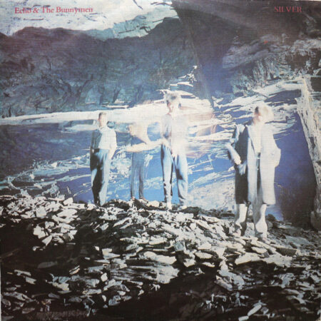 ECHO AND THE BUNNYMEN - Silver