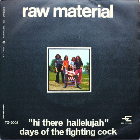 RAW MATERIAL - Hi There Hallelujah