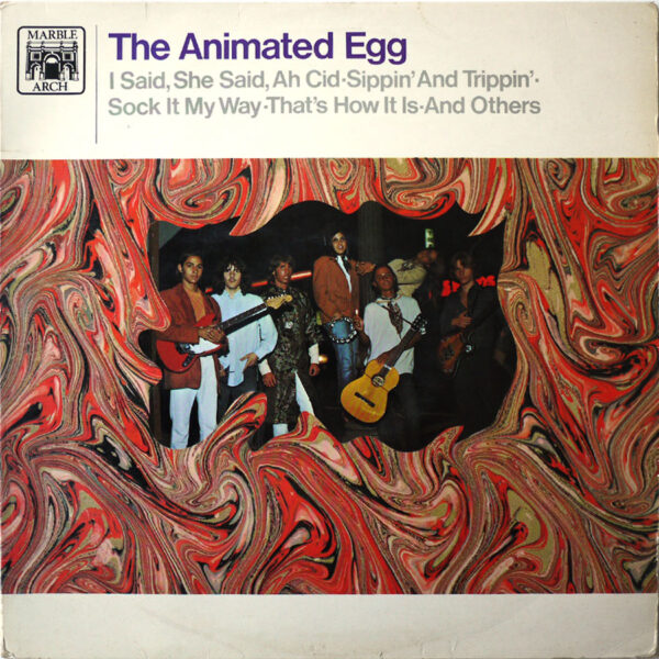 ANIMATED EGG - The Animated Egg